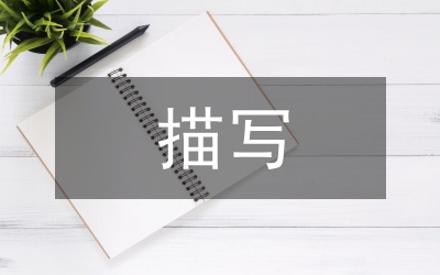 細節描寫片段