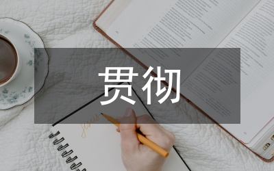 審計局安全生產工作貫徹落實情況總結
