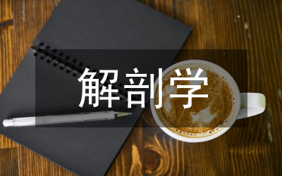 解剖學教學中踐行醫學倫理教育思考