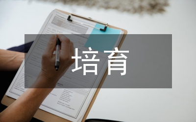 絲路金融中心核心競爭力培育探討