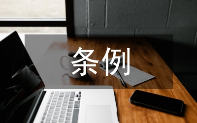 城管行政執法條例